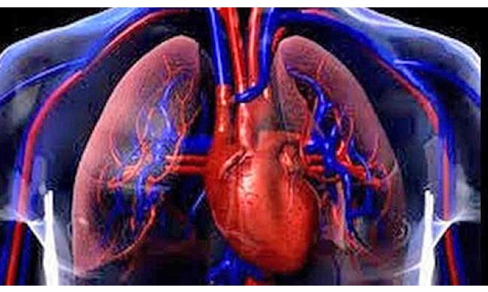 Bronquiolitis, un mal grave en menores de dos años