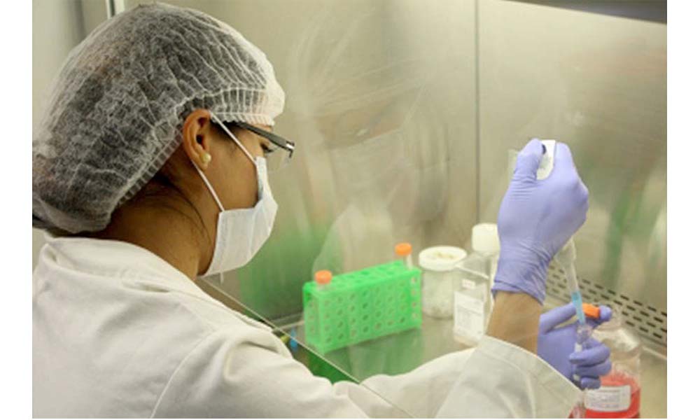 Comportamiento de padres afecta funcionamiento de genes de sus hijos