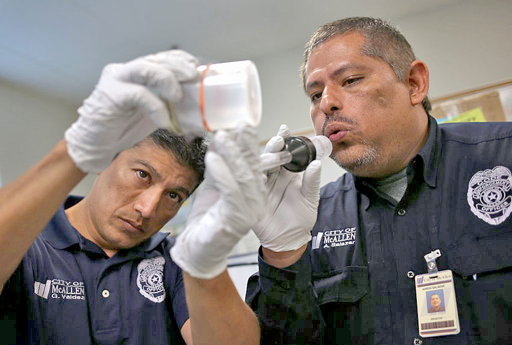 Siguen investigando caso de Zika en McAllen