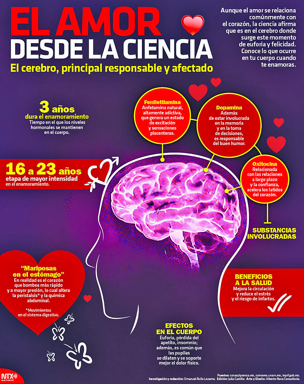 La química del amor se produce en el cerebro