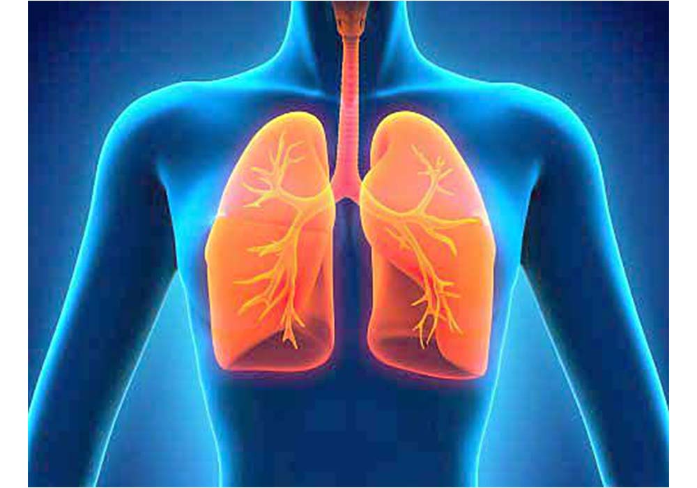 Descubren proteína relacionada con el cáncer de pulmón