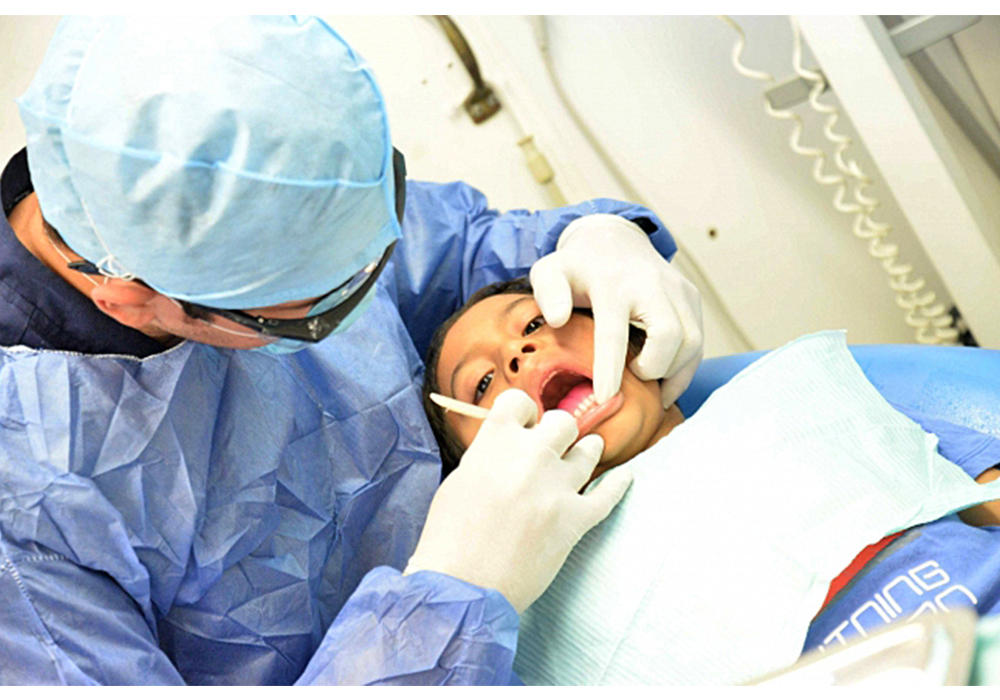 Células madre de los dientes serían alternativa médica