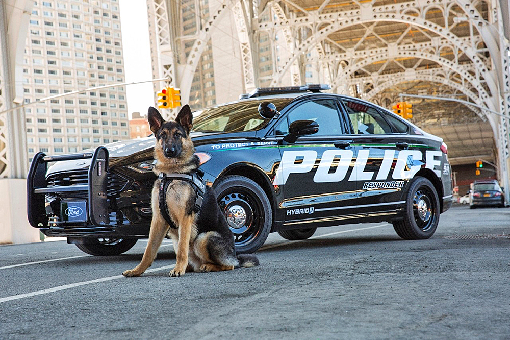 Ford introducirá un nuevo “vehículo de respuesta” para la policía  