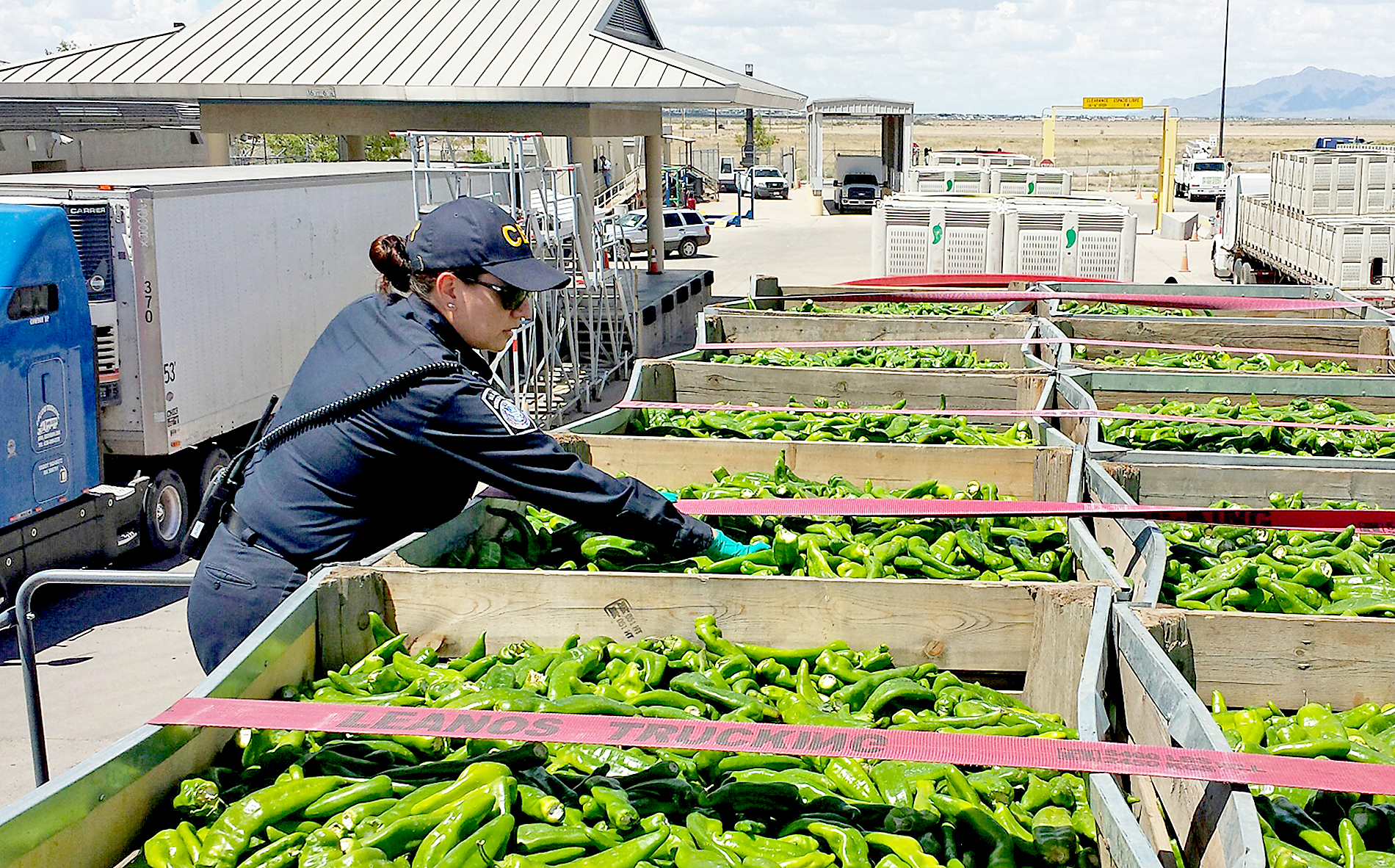 Sin mercado mexicano habría quiebras agrícolas en EUA