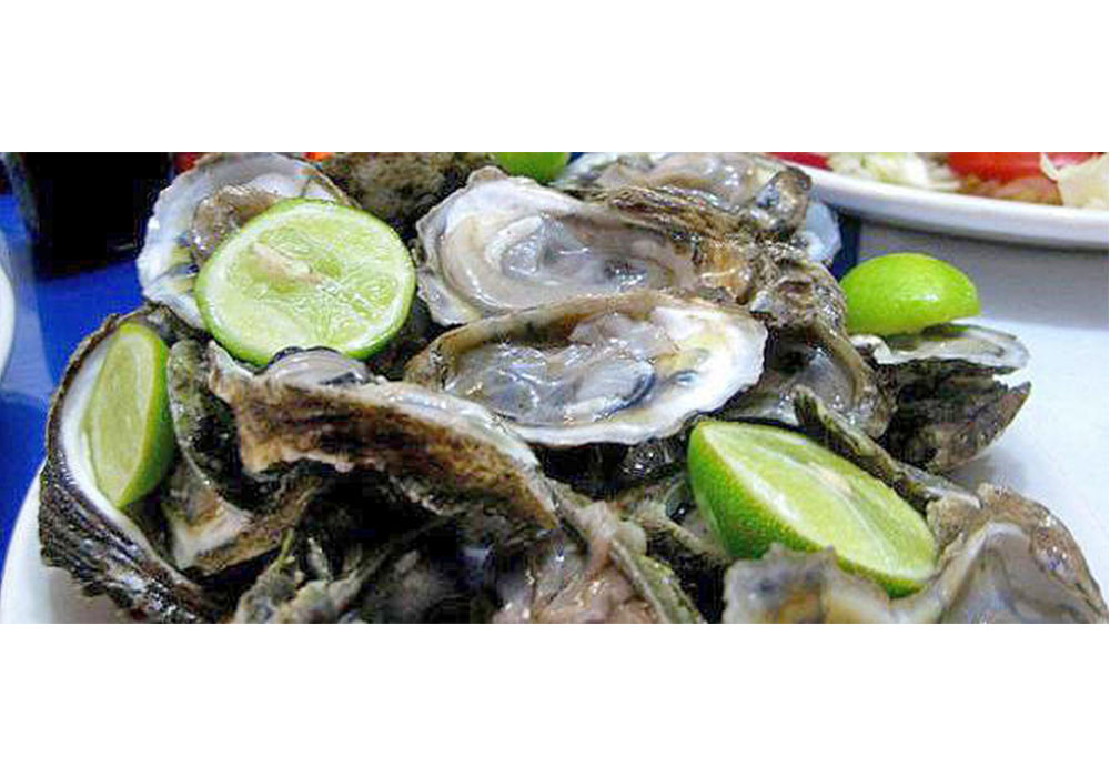 Ostiones, alimento que destaca por su versatilidad en la cocina