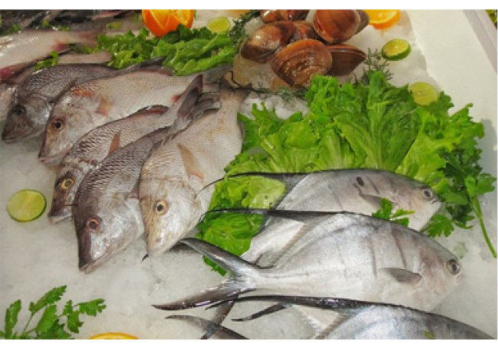 Consumo de mariscos podría evitar depresión y enfermedades del corazón