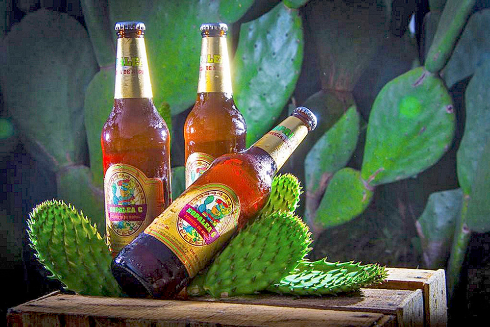 Cerveza de nopal mexicano conquista el mercado europeo
