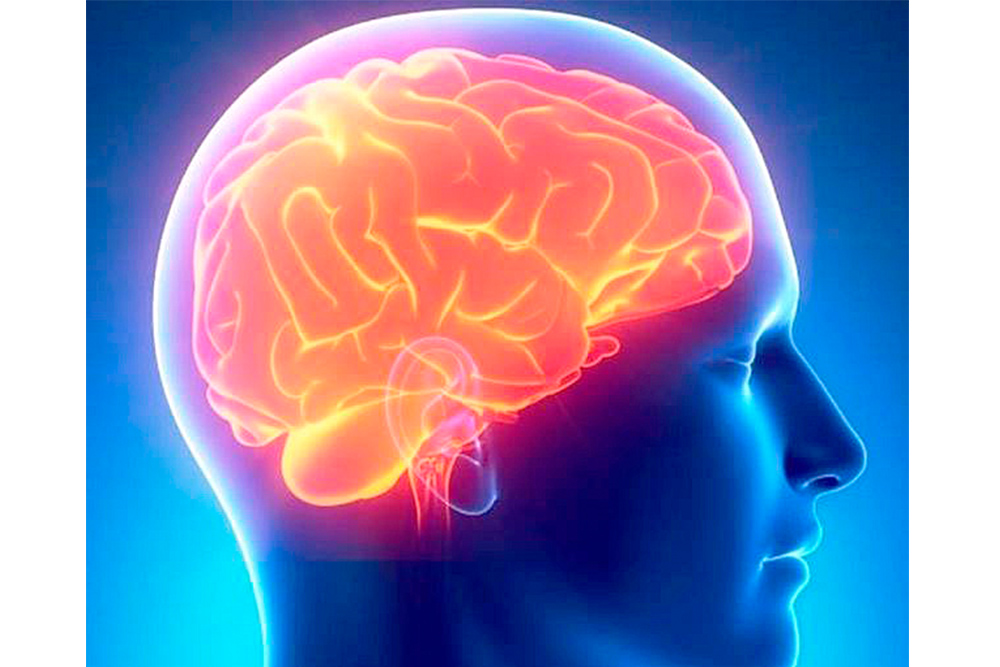 Fiebre, dolor de cabeza y pérdida de conciencia son síntomas de meningitis