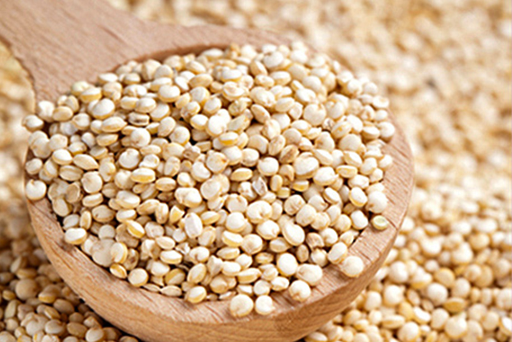 Quínoa, una semilla con alto contenido nutricional