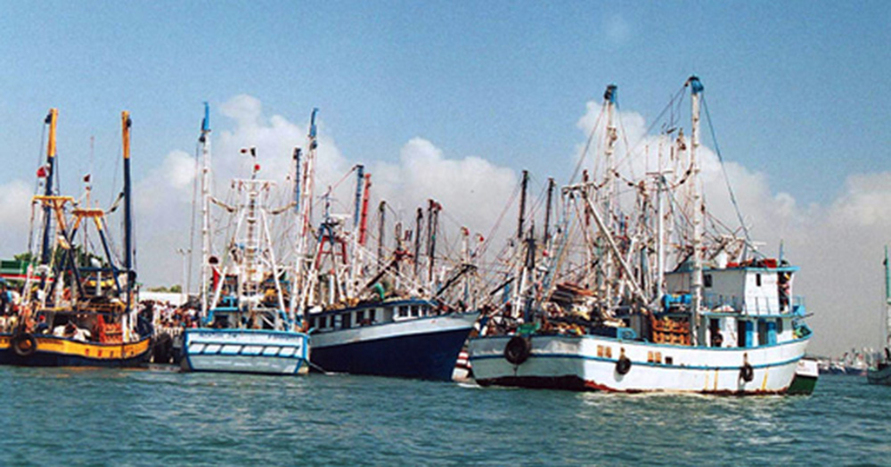 Crisis en industria camaronera de Texas por escasez de migrantes