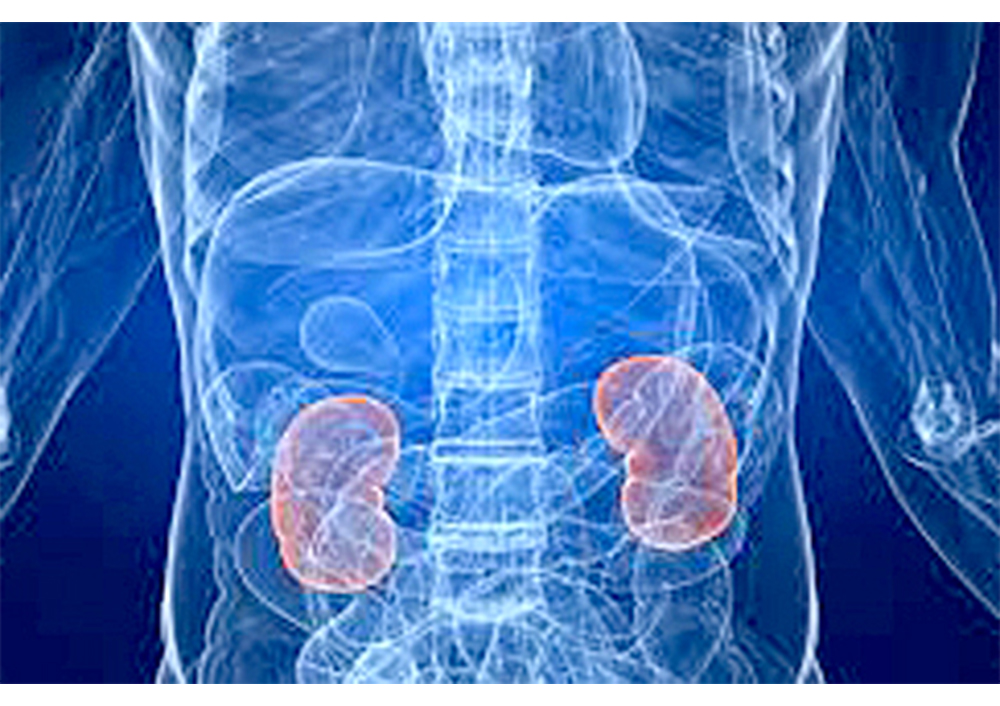 Aumento de presión arterial y descontrol pueden sugerir daño renal