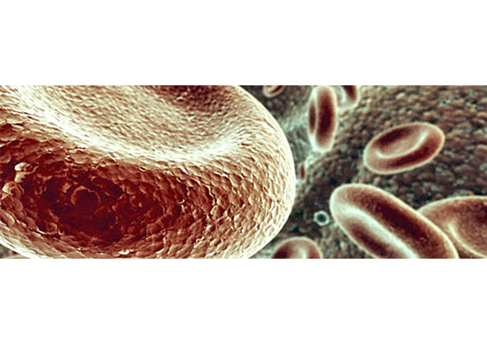 Estrés oxidativo puede ocasionar cáncer o cataratas, alerta investigadora