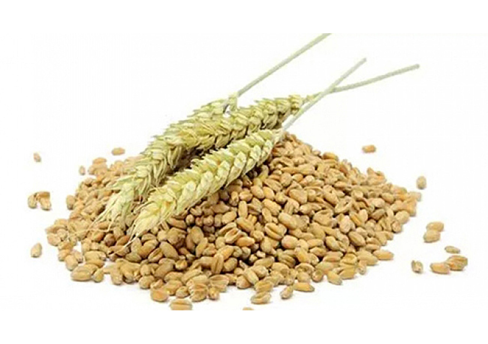 Sugieren consumir fibra para evitar enfermedad hemorroidal