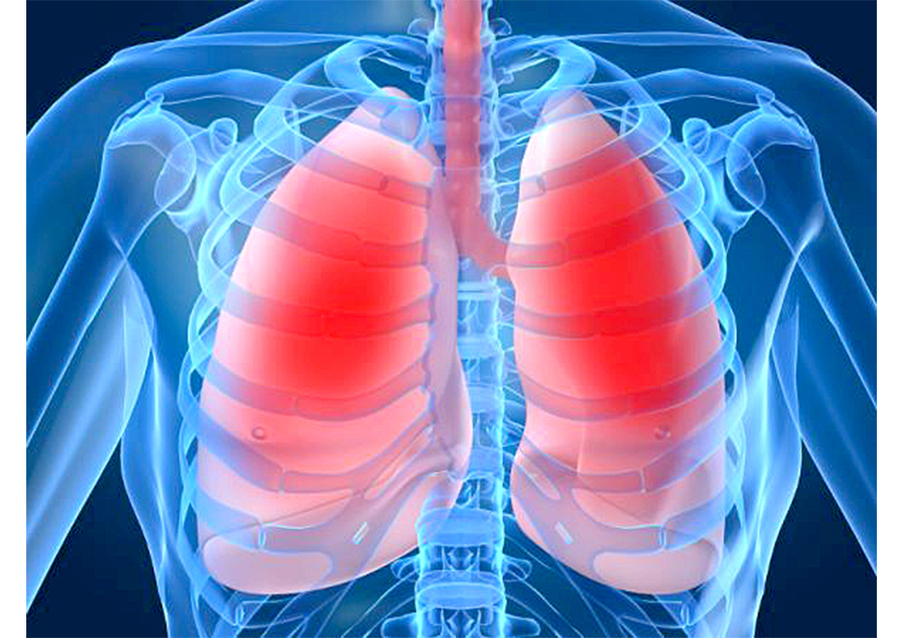 Innovadora sonda detectaría en un minuto infecciones en pulmones