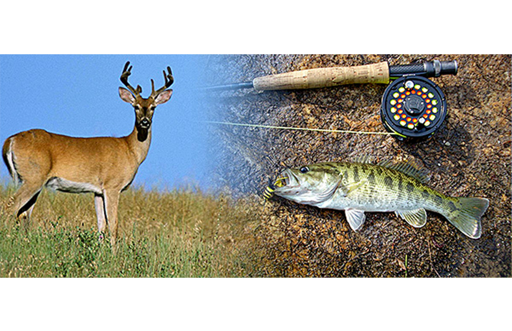 Inicia expedición de licencias de caza y pesca