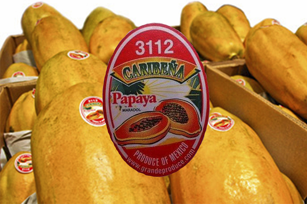 Buscará reeleción Oscar Longoria