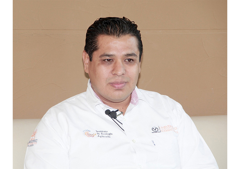 Extracto de magnolia podría ser usado en tratamientos de cáncer