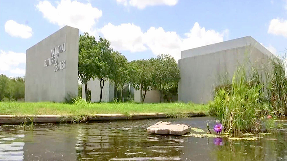 Inicia batalla legal