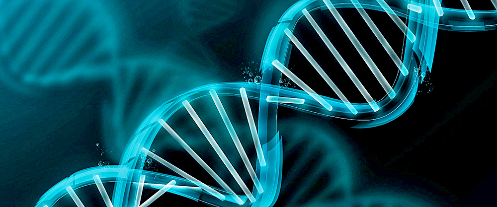 Edición genética dentro de células, una revolución irreversible