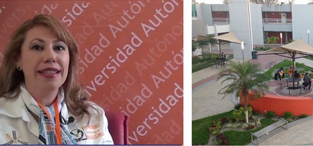 Elabora estudios para la planeación urbana y desarrollo territorial