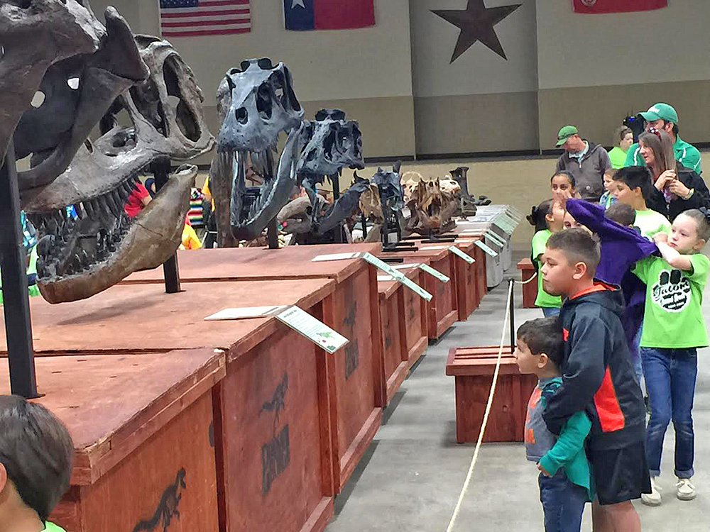 Llega una gran exhibición viajante prehistórica a PalmFest 2017