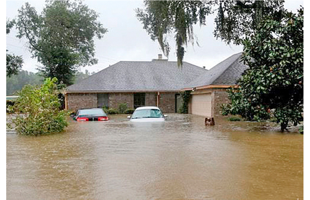 Podrían ofrecerse viviendas a víctimas desplazadas por los huracanes