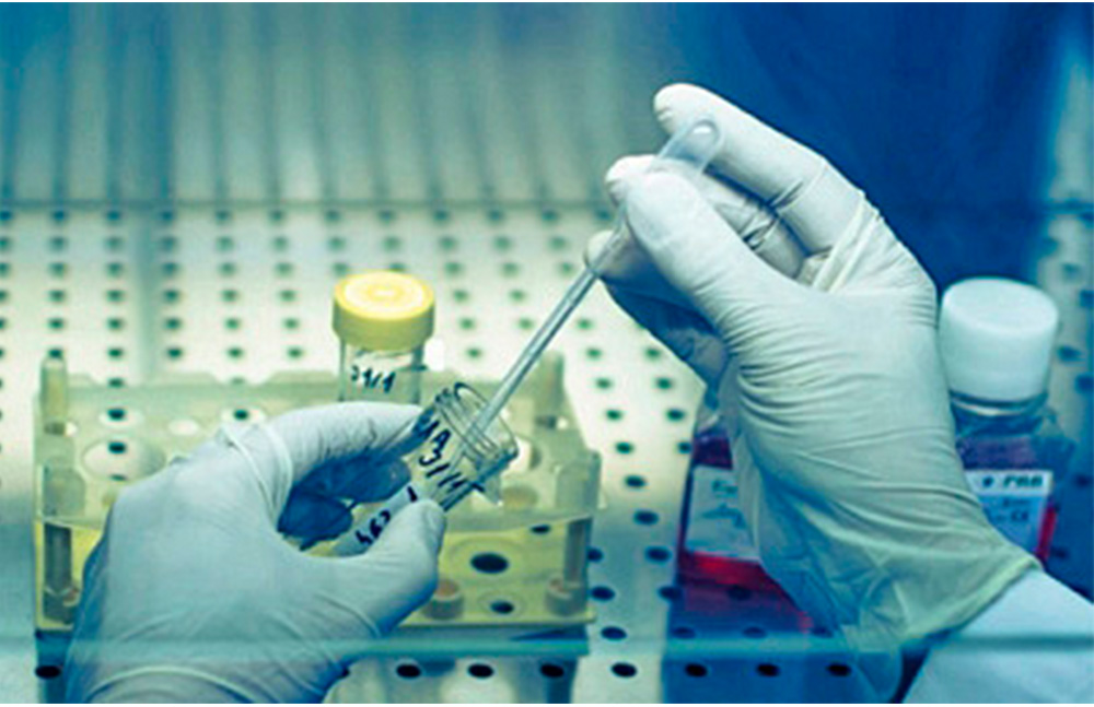 Científicos crean sistema que permite modificar información genética