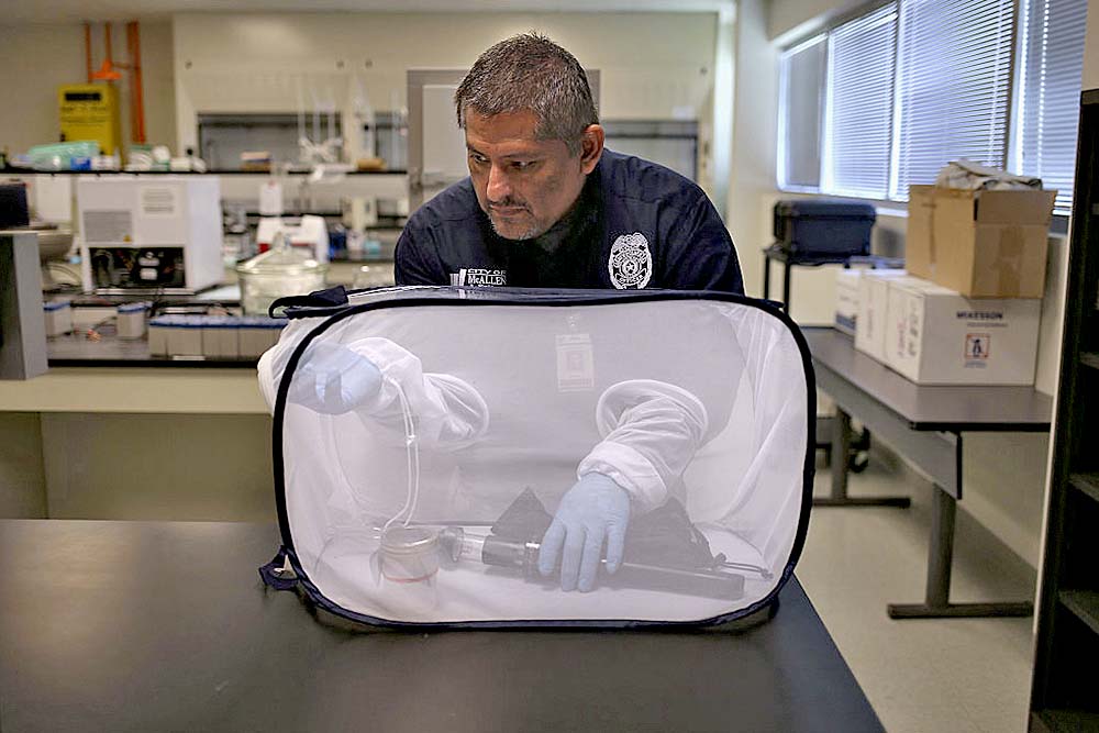 Buscan acabar con los mosquitos