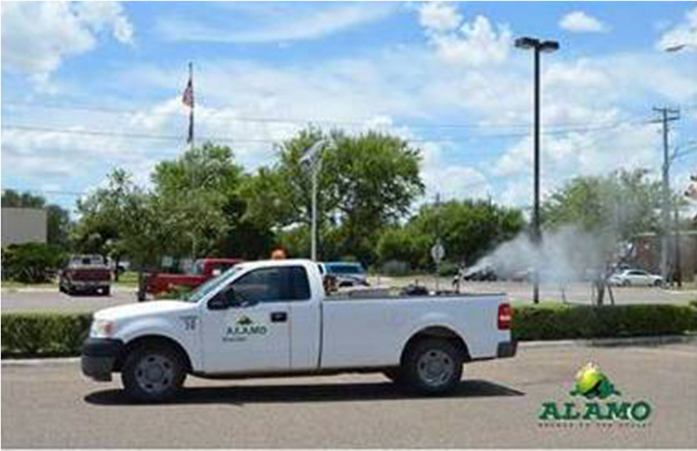 Fumigan para prevenir enfermedades