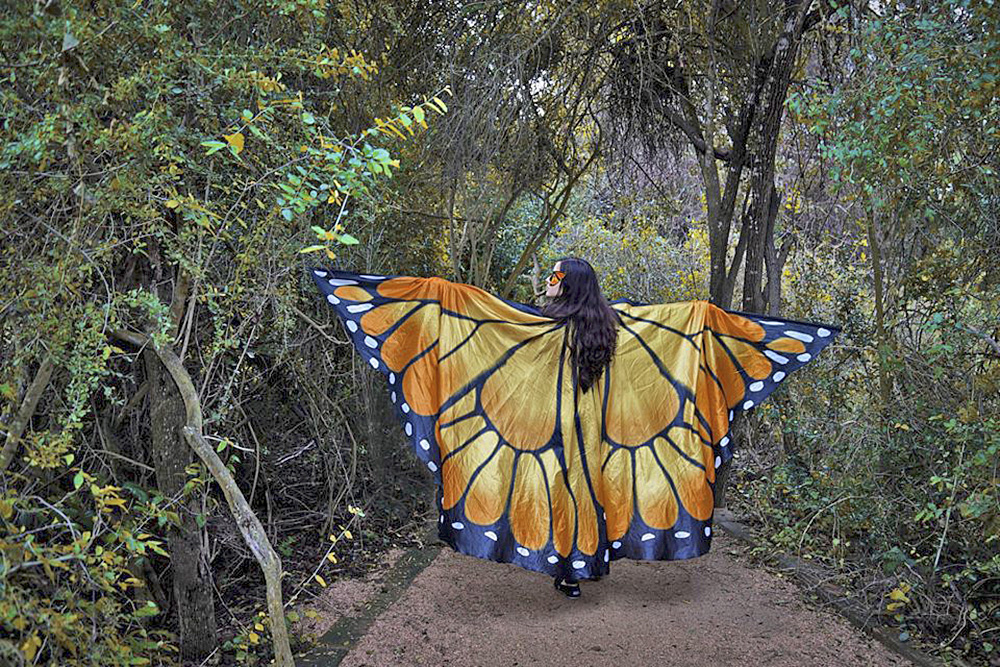 Quinta Mazatlán, anfitrión del Festival de la Mariposa Monarca en McAllen