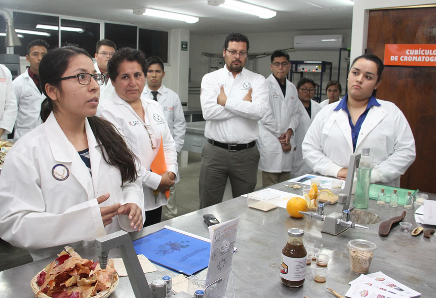 Elaboran universitarios jarabe orgánico de mezquite