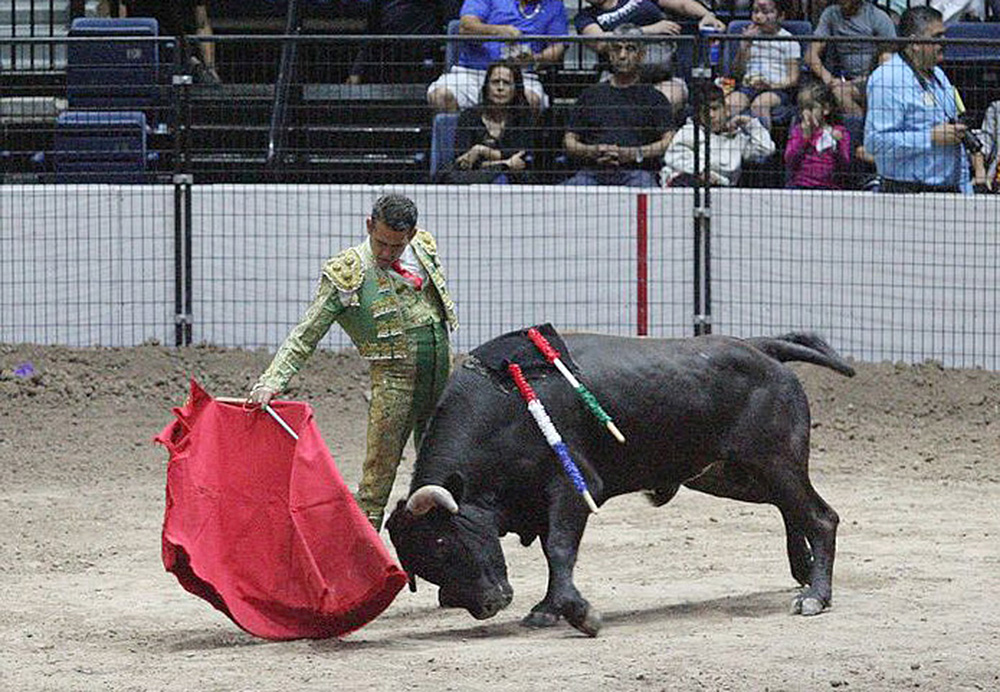 Celebración de Border Fest 2018