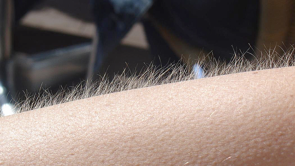 Escalofríos, la respuesta del organismo ante el estrés