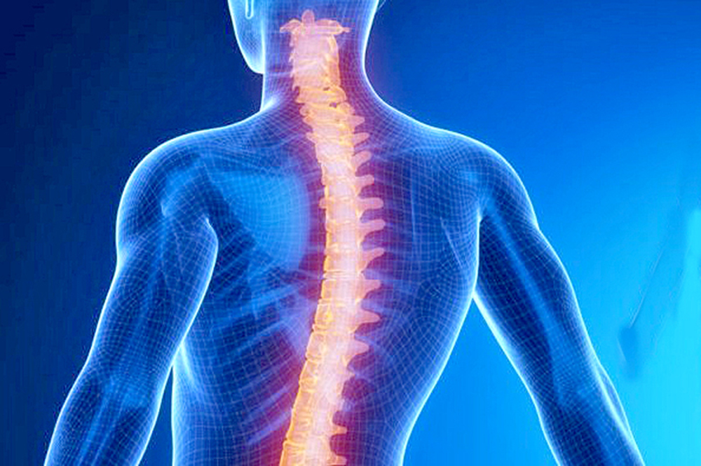 Científicos crean algoritmo para rehabilitar lesión de médula espinal