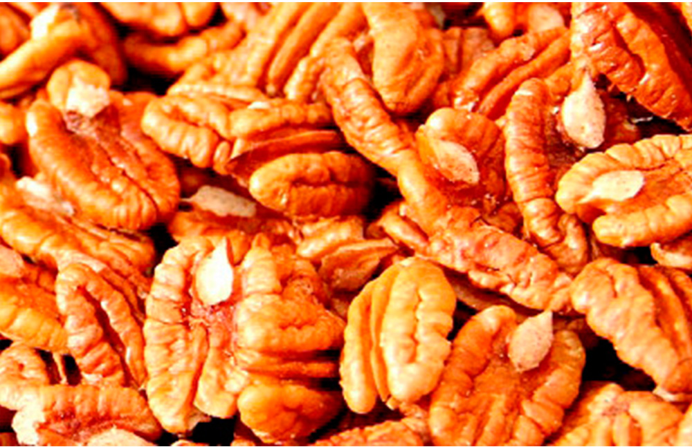 Frutos secos aportan ácidos grasos esenciales para el organismo