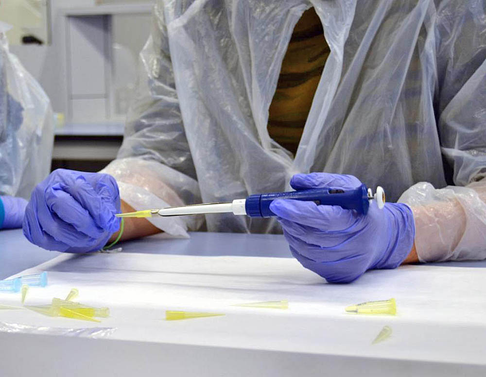 Abuso de la hormona del crecimiento en adultos daña la salud