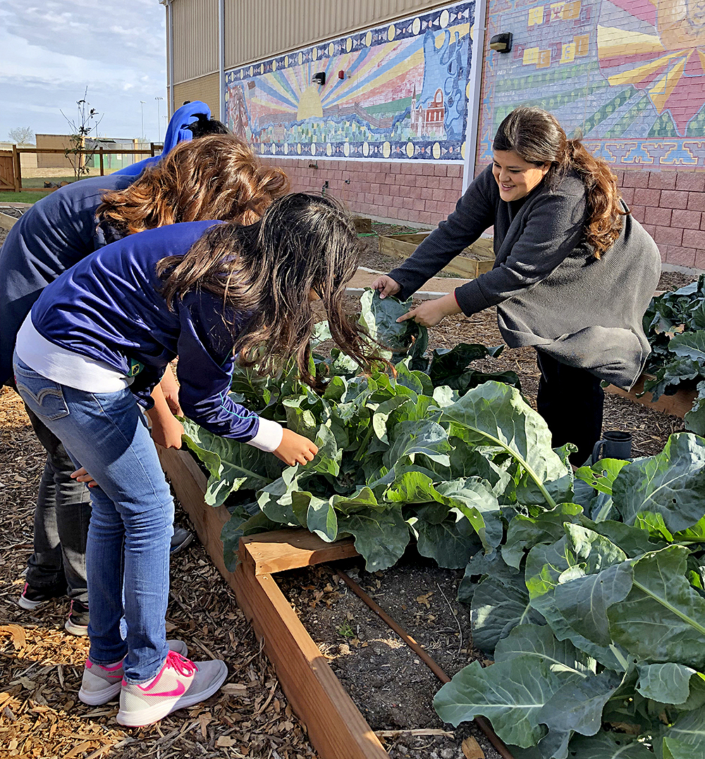 Educador de PSJA ISD participará en Programa Internacional de Enlace de Maestros de la Fundación Espacial