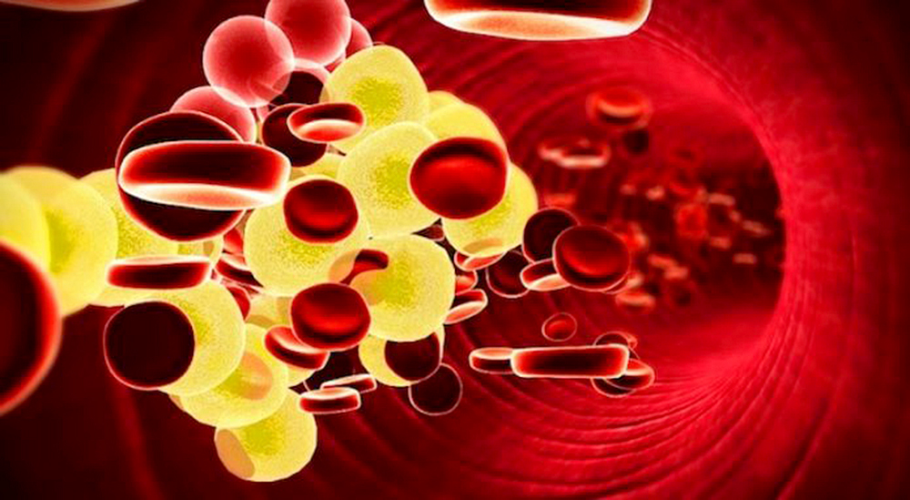 Nueva molécula ayuda a reducir niveles de colesterol “malo”