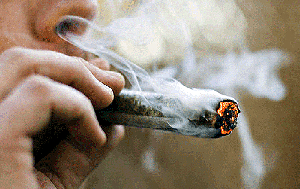 Fumar marihuana afecta el conteo de espermatozoides y vitalidad