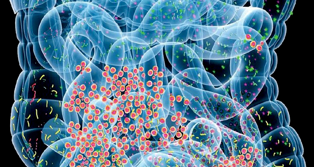 Bacterias y hormonas están vinculadas a la obesidad, afirma experto