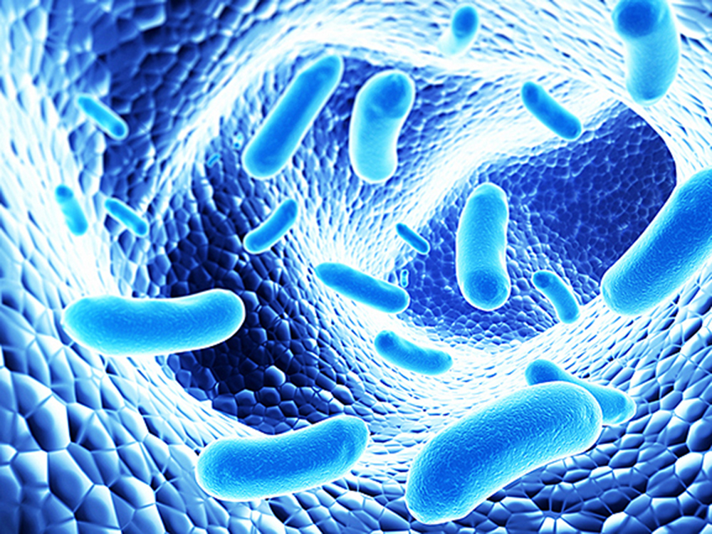 Probióticos y antibióticos contra bacterias resistentes a medicamentos