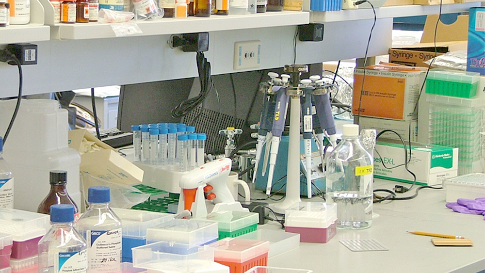 Nuevo tratamiento prometedor contra cáncer de páncreas