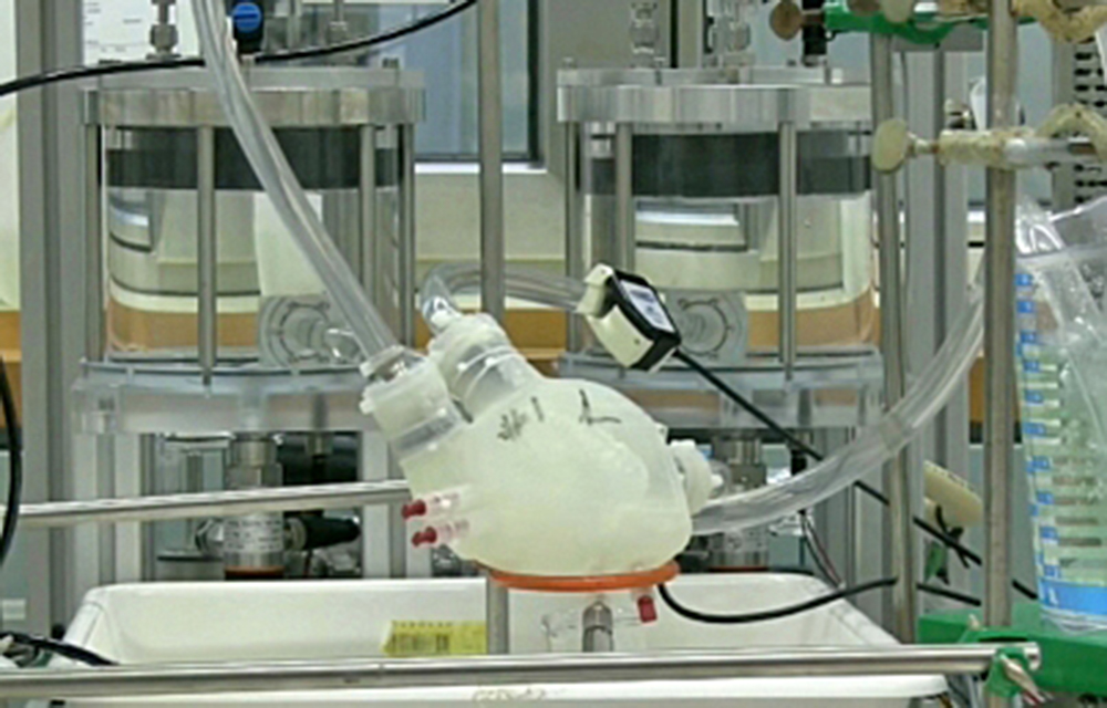 Científicos israelíes imprimen primer corazón 3D con tejido humano