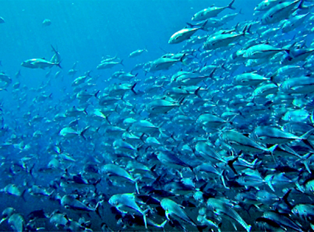 NASA reproduce orígenes de la vida en el fondo del océano