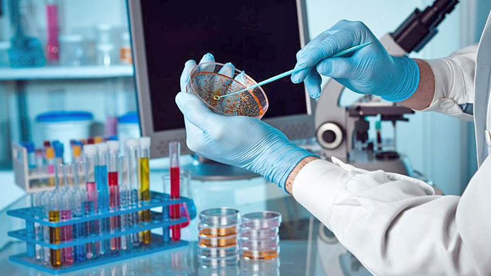 Presentan nuevas tecnologías para detectar patógenos en los alimentos