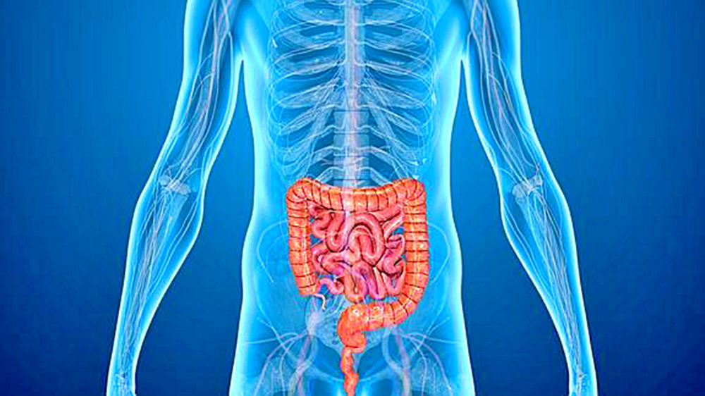 Diarrea, el padecimiento más frecuente en temporada de calor