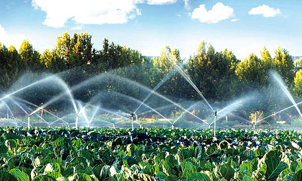 Cambio de clima afecta la calidad del agua