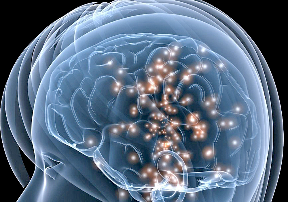 Descubren el área del cerebro responsable del “aprendizaje del miedo”