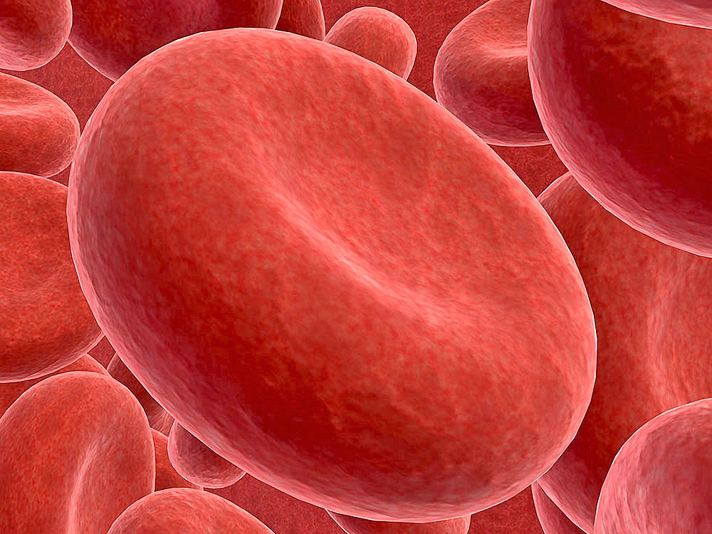 Hemofilia adquirida, enfermedad rara que también puede afectar a mujeres