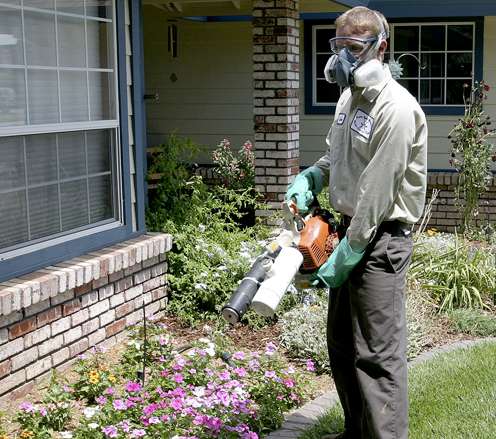 Continúan operaciones de control de vectores de mosquitos